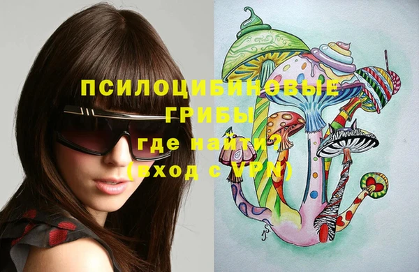 бошки Верхний Тагил