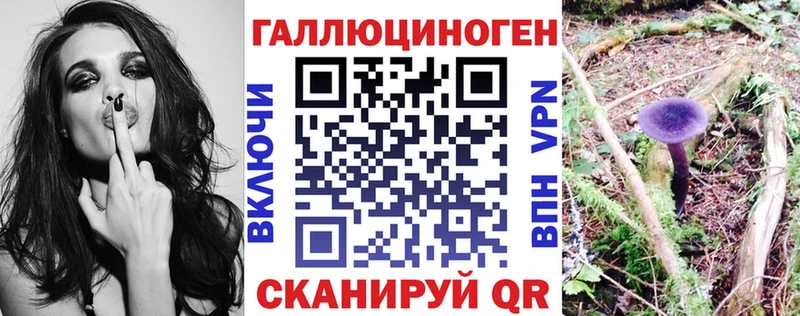Псилоцибиновые грибы Psilocybe  omg рабочий сайт  Назарово 