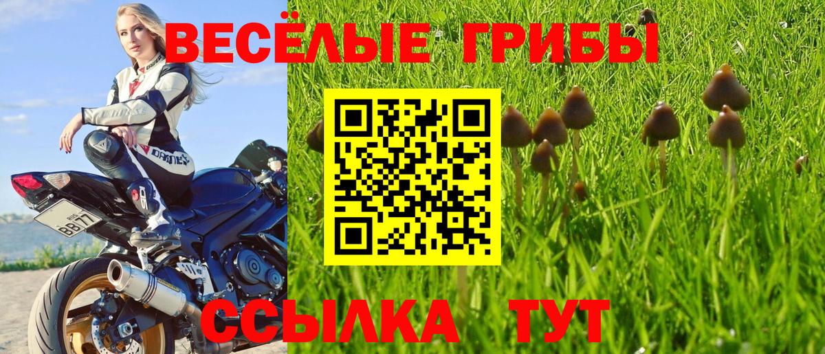 ГАШ Назарово