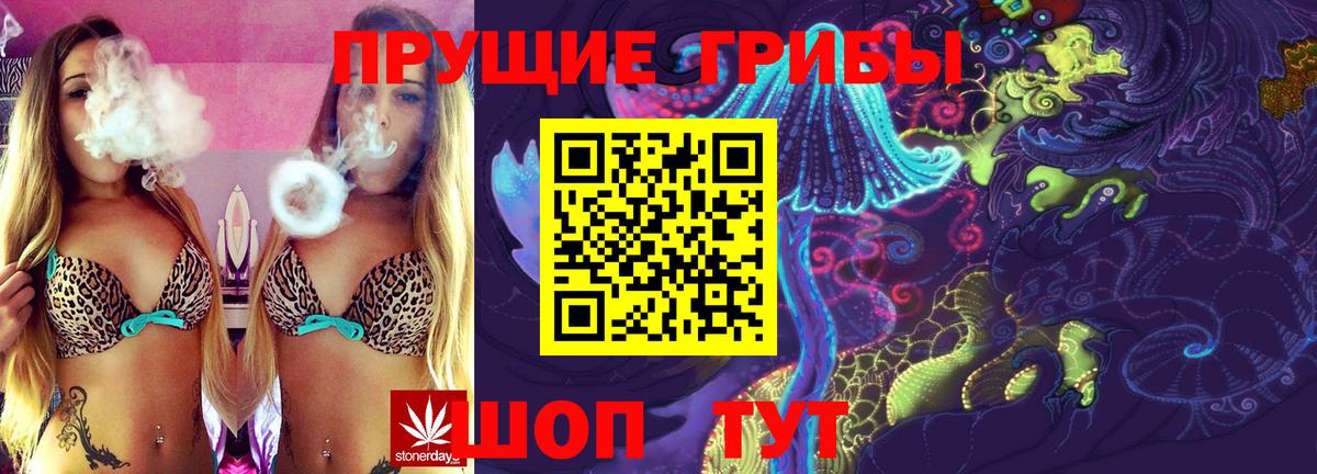 Галлюциногенные грибы прущие грибы Назарово